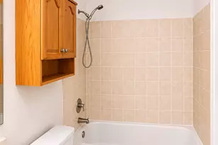 707 Sunfish Point, Schaumburg, IL 60194 - Photo 18