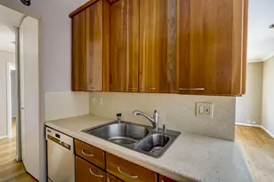 401 E Ontario St, Chicago, IL 60611 - Photo 22
