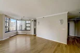 401 E Ontario St, Chicago, IL 60611 - Photo 36