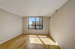 401 E Ontario St, Chicago, IL 60611 - Photo 46