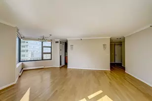 401 E Ontario St, Chicago, IL 60611 - Photo 42