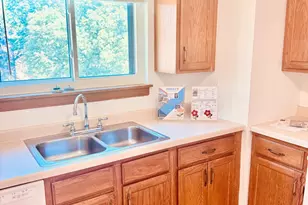 811 S Dwyer Ave, Arlington Heights, IL 60005 - Photo 12