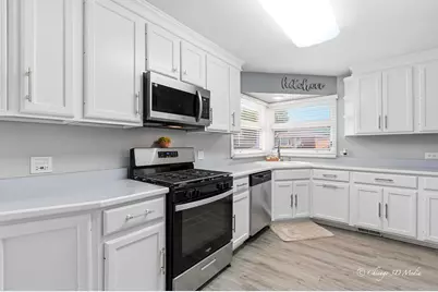 7349 W Breen Street, Niles, IL 60714 - Photo 10