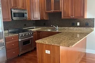 334 N Jefferson St, Chicago, IL 60661 - Photo 16