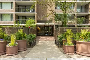1555 N Sandburg Terrace, Chicago, IL 60610 - Photo 1