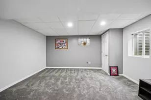 14100 W Anne K Dr, Homer Glen, IL 60491 - Photo 28