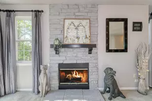 3009 Talaga Dr, Algonquin, IL 60102 - Photo 8