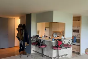 4800 S Lake Park Ave, Chicago, IL 60615 - Photo 10