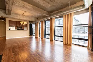 1069 W 14th Pl, Chicago, IL 60608 - Photo 6