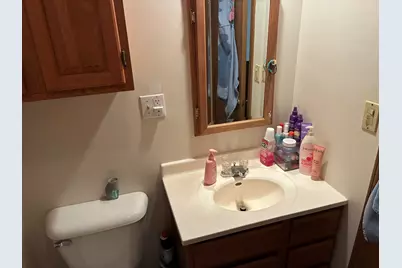 205 E Logan Street, Atlanta, IL 61723 - Photo 22