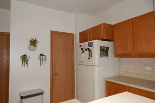 11645 River Terrace Ln, Huntley, IL 60142 - Photo 10