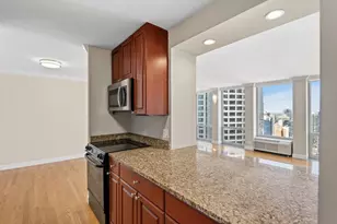 111 E Chestnut St, Chicago, IL 60611 - Photo 10