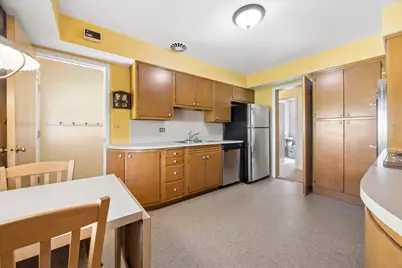 1024 S Spring Avenue, La Grange, IL 60525 - Photo 10