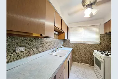 11425 S Elizabeth Street, Chicago, IL 60643 - Photo 6