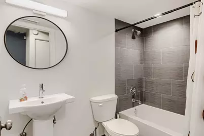 319 S Washtenaw Avenue, Chicago, IL 60612 - Photo 30