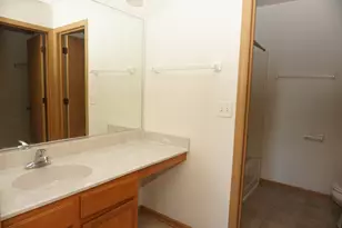 407 Waubonsee Drive, Plano, IL 60545 - Photo 26