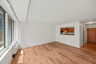 211 E Ohio St, Chicago, IL 60611 - Photo 2