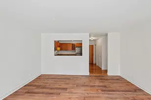 211 E Ohio St, Chicago, IL 60611 - Photo 6