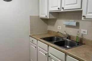 255 S West Ave, Elmhurst, IL 60126 - Photo 6