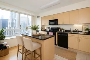 512 N McClurg Ct, Chicago, IL 60611 - Photo 4