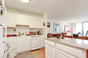 545 N Dearborn St, Chicago, IL 60654 - Photo 16