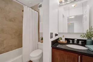 222 E Pearson St, Chicago, IL 60611 - Photo 10