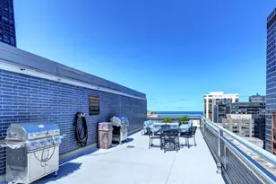 222 E Pearson St, Chicago, IL 60611 - Photo 24