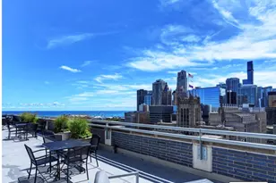 222 E Pearson St, Chicago, IL 60611 - Photo 22