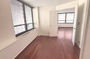 222 E Pearson St, Chicago, IL 60611 - Photo 14