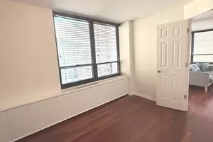 222 E Pearson St, Chicago, IL 60611 - Photo 16