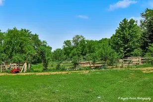 9602 Wright Rd, Harvard, IL 60033 - Photo 36