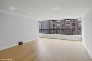 110 E Delaware Pl, Chicago, IL 60611 - Photo 4