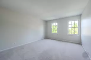 259 Millcreek Ln, Naperville, IL 60540 - Photo 24