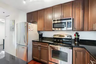 401 E Ontario St, Chicago, IL 60611 - Photo 8