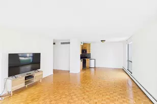 1310 N Ritchie Ct, Chicago, IL 60610 - Photo 26
