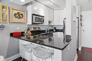 450 W Briar Pl, Chicago, IL 60657 - Photo 6