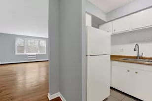 3161 N Cambridge Ave, Chicago, IL 60657 - Photo 4