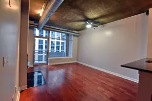 1305 S Michigan Ave, Chicago, IL 60605 - Photo 2