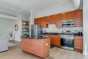 212 E Cullerton St, Chicago, IL 60616 - Photo 4