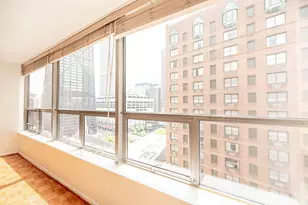 110 E Delaware Pl, Chicago, IL 60611 - Photo 8