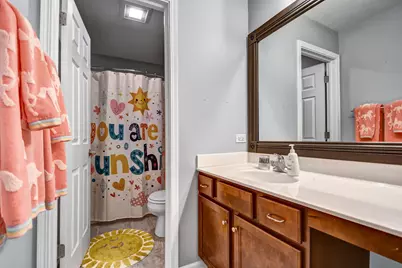 25758 S Basswood Road, Channahon, IL 60410 - Photo 30