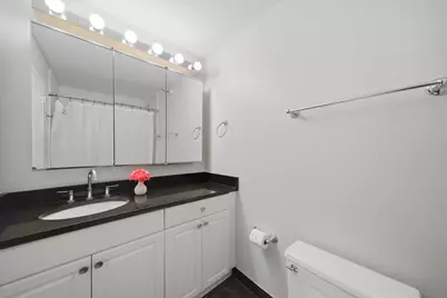10 E Ontario Street #4506, Chicago, IL 60611 - Photo 16