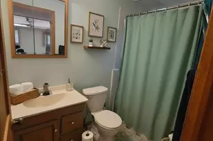 110 E Burr Oak Dr, Arlington Heights, IL 60004 - Photo 14