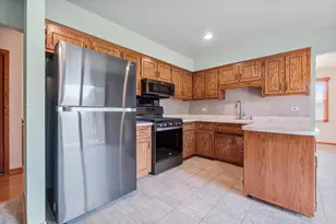 13437 Arabian Dr, Homer Glen, IL 60491 - Photo 14