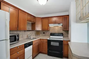 1255 N Sandburg Terrace, Chicago, IL 60610 - Photo 14