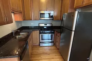 4542 W George St, Chicago, IL 60641 - Photo 8