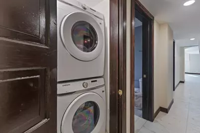 442 E 48th Street #B1, Chicago, IL 60615 - Photo 20
