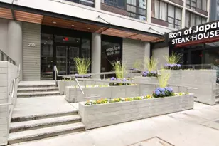 230 E Ontario St, Chicago, IL 60611 - Photo 2