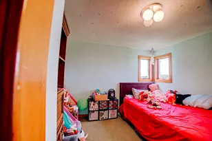111 W McKinley Ave, Milford, IL 60953 - Photo 20