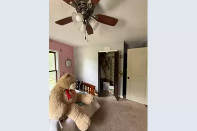 221 N Crossley Street, Melvin, IL 60952 - Photo 16
